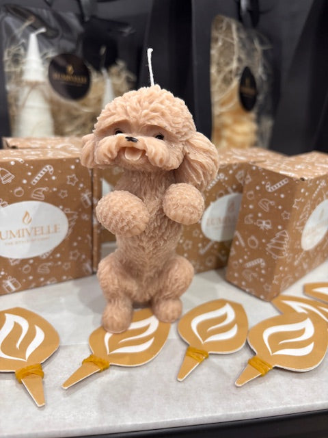 Свещ ИЗПРАВЕН ПУДЕЛ