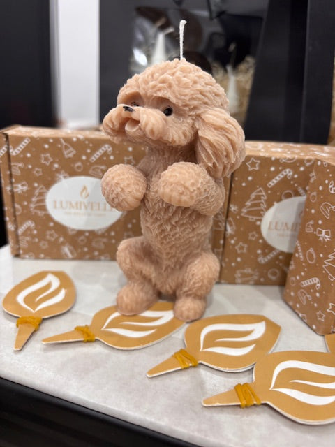 Свещ ИЗПРАВЕН ПУДЕЛ