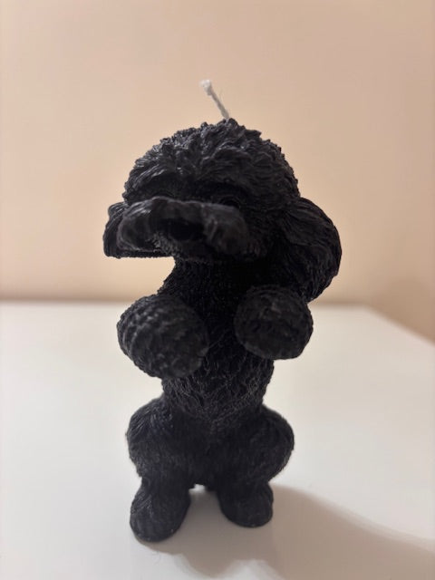 Свещ ИЗПРАВЕН ПУДЕЛ