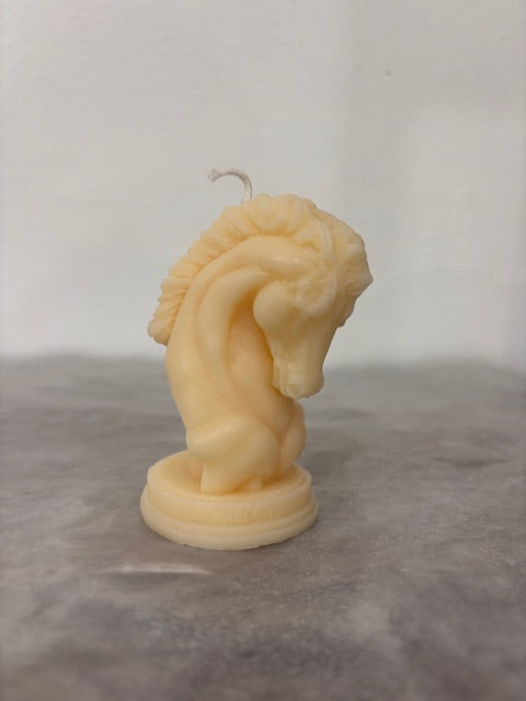 Свещ ГЛАВА НА КОН